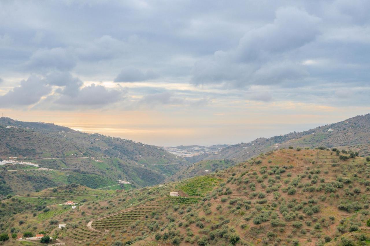 Cortijo La Encina Villa Sayalonga ภายนอก รูปภาพ
